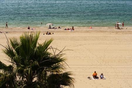 Pins Platja - 14