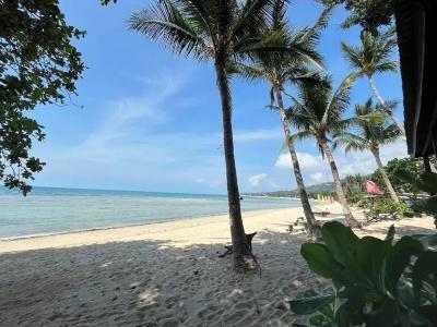 Samui Harmony - 75