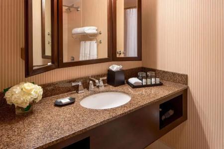 Sheraton Houston Brookhollow - 55