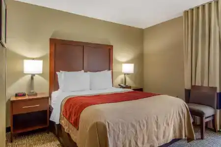 Comfort Inn Sandy Springs – Perimeter - 33
