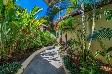 Shiralea Island Resort - 54