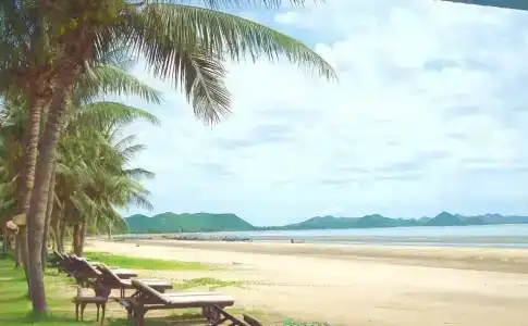 Terra Selisa - Dolphin Beach - 14