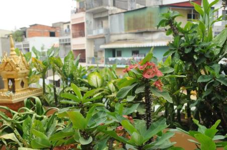 Dara Reang Sey - Phnom Penh - 16