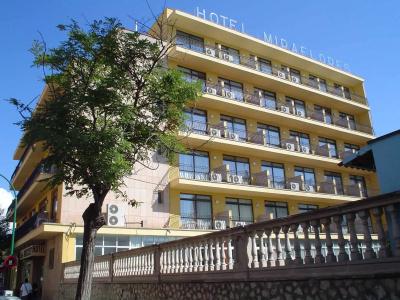 Amic Miraflores - 29