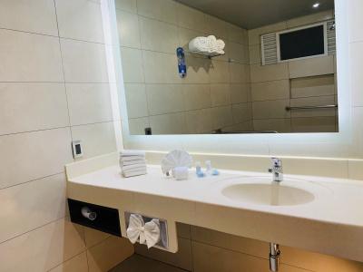 Holiday Inn Express - Mexico Basilica, An Ihg - 31