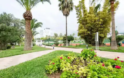 Sahara Agadir - 28