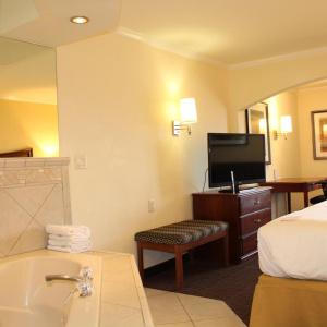 Holiday Inn Express & Suites Tucson Mall, An Ihg - 34