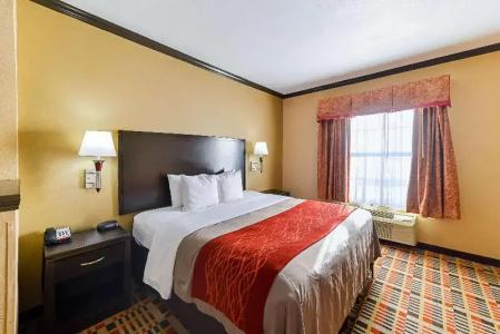 Quality Inn & Suites - 49