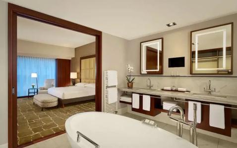 Park Hyatt Zurich – City Center Luxury - 109