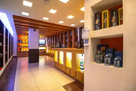 Camino Real Guadalajara - 9