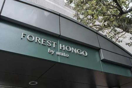 Forest Hongo - 4