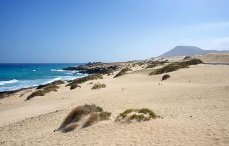Barceló Corralejo Bay - Только для взрослых - 25