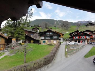 Steinbock - 5