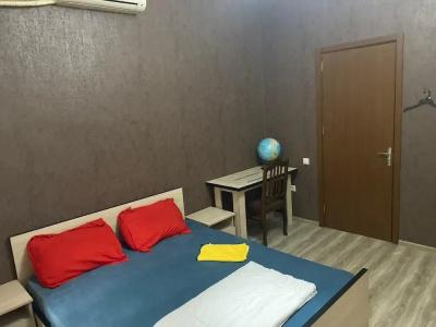 guest house Artisha - 12
