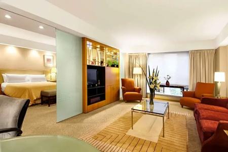 Melia Buenos Aires - 126
