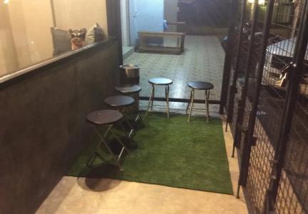 Hubb Hostel Phuket Airport - 10