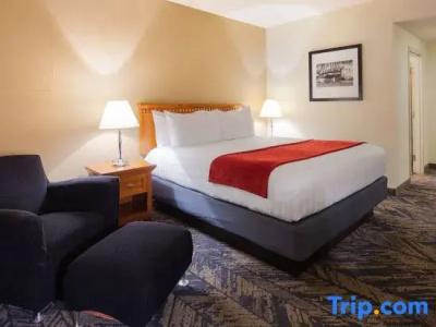 Best Western Plus Bayside Inn - 49
