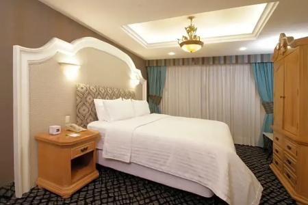 Holiday Inn Queretaro Centro Historico, An Ihg - 165
