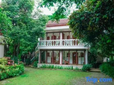 Kodchasri Thani - Sha Extra Plus - 51