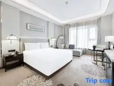 Wyndham Grand Plaza Royale Chongqing - 9