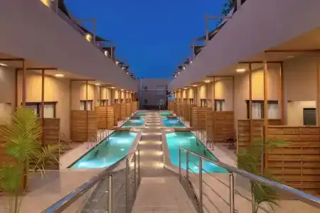 Golden Bee Lifestyle - 13