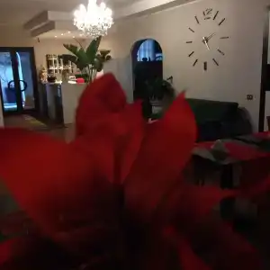 La Rosetta - 0