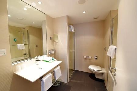 Holiday Inn Mulhouse, An Ihg - 87