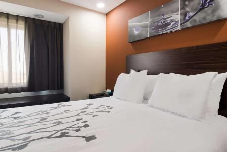 Erie Inn and Suites - 4