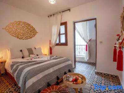Riad Shaden - 9