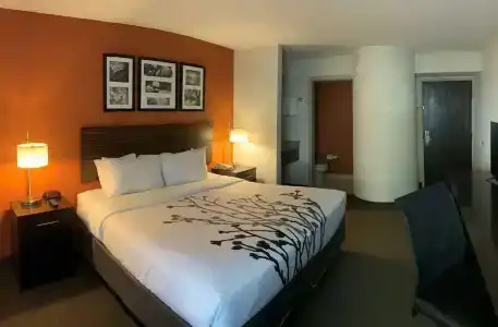Sleep Inn North I-17 - 59