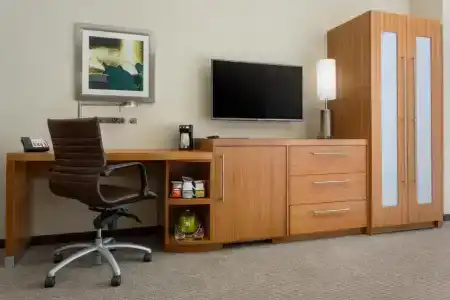 Hyatt Place Chicago/Downtown - The Loop - 41