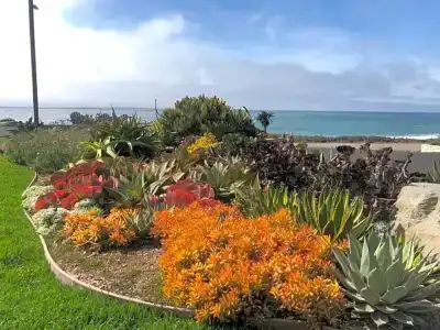 Cambria Shores Inn - 23