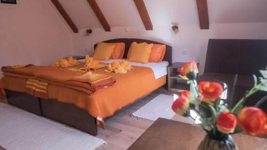 Guest House Rustico - 46