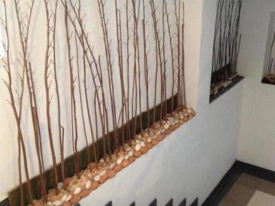 Latin Garden - 13