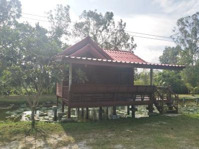 Sarocha Rayong - 7