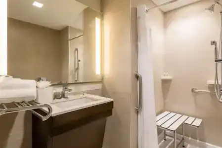 Holiday Inn Brooklyn Downtown, An Ihg - 7