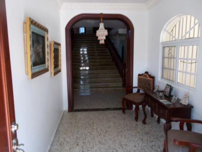 Castillo Romano - 13