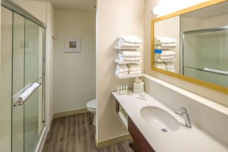 Hampton Inn Houston Downtown - 20