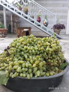 Artson B&B Vagharshapat - 18