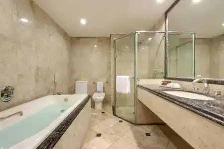 Sheraton são Paulo Wtc - 97
