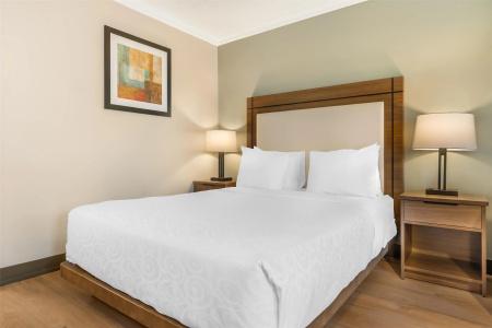 Best Western Plus - 37