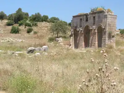 Patara Caretta - 40