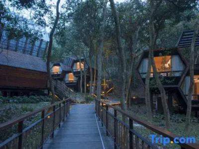 Hangzhou Senbo Resort - 40