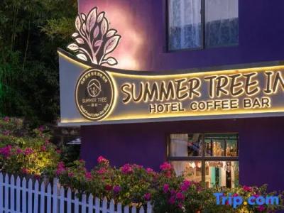 Summer Tree Inn (The Captain's Hostel) - 14