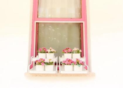 Kiraz Cicegi Butik - 40