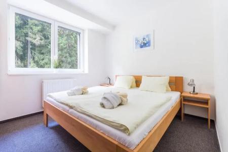 Hotel&wellness Knižecí rybník - 39