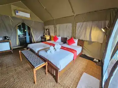 Khaosok Boutique Camps - 69