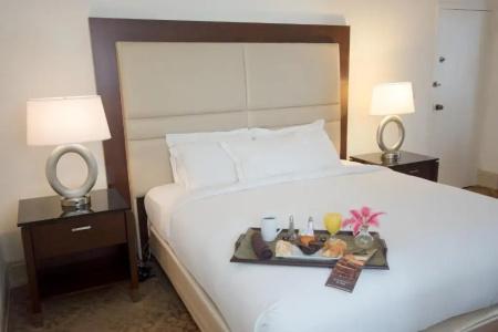 Hilton Palm Beach Airport - 50