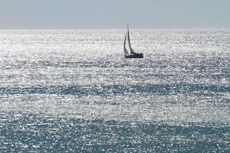 Mediterraneo Carihuela - 19