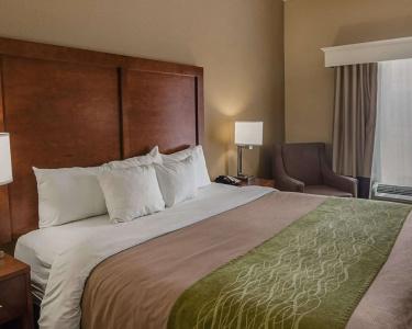 Comfort Inn South I-20 - 4